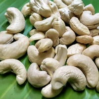 Cashew 240 - 500 Grams